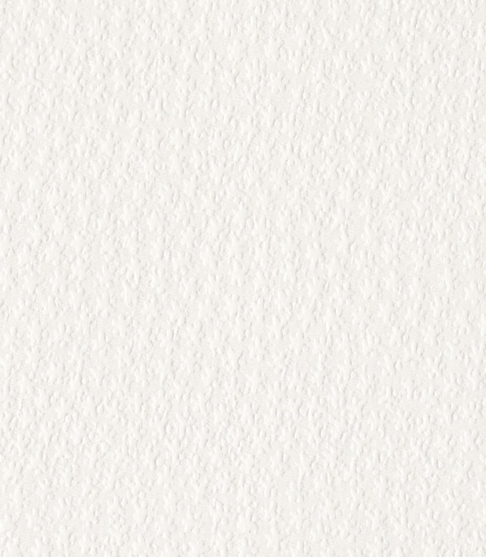 江戸小染はなの白