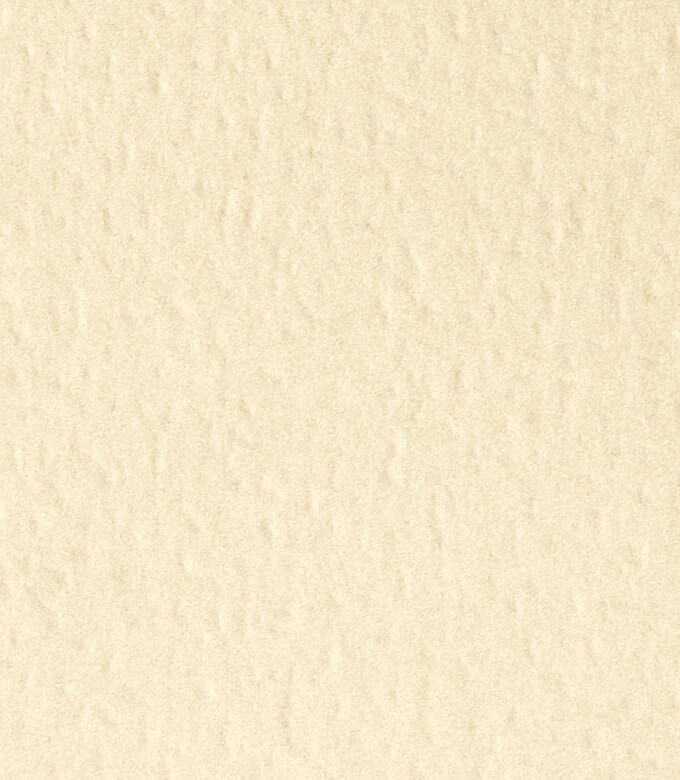 エコジャパンRのきなり