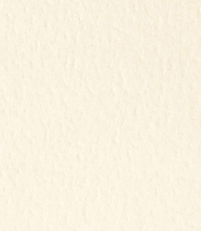 エコジャパンRのきぬ