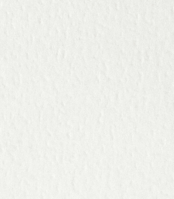 エコジャパンRのゆき