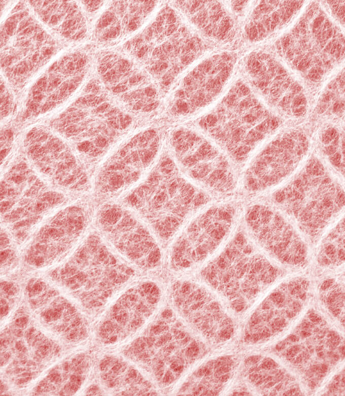 和紙箱七宝の赤