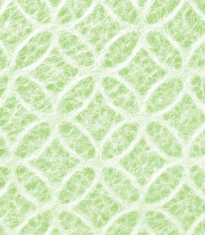 和紙箱七宝の緑