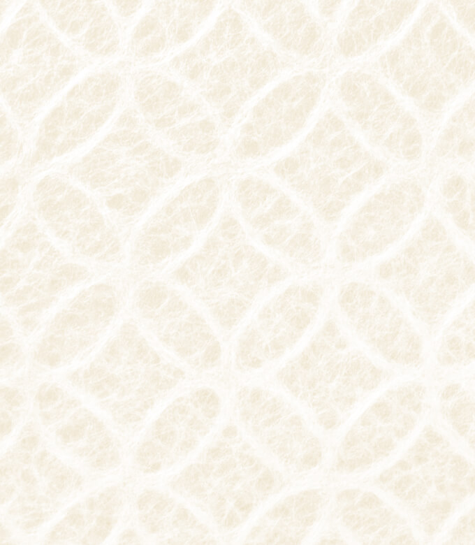 和紙箱七宝の白