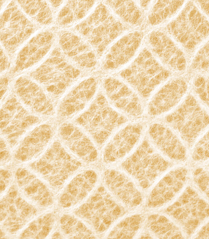 和紙箱七宝の茶