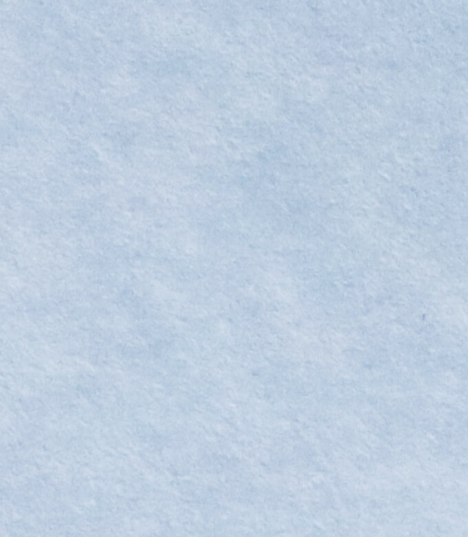 フリッターのマリンパープル