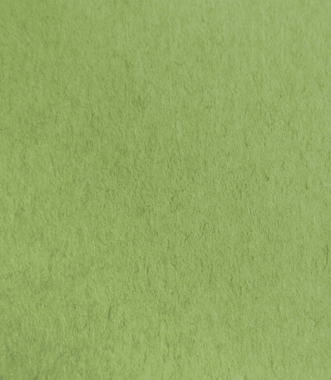 まんだらのひわもえぎ