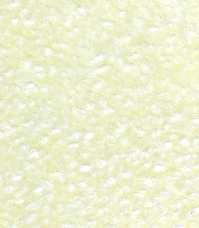 水玉レースの黄水仙