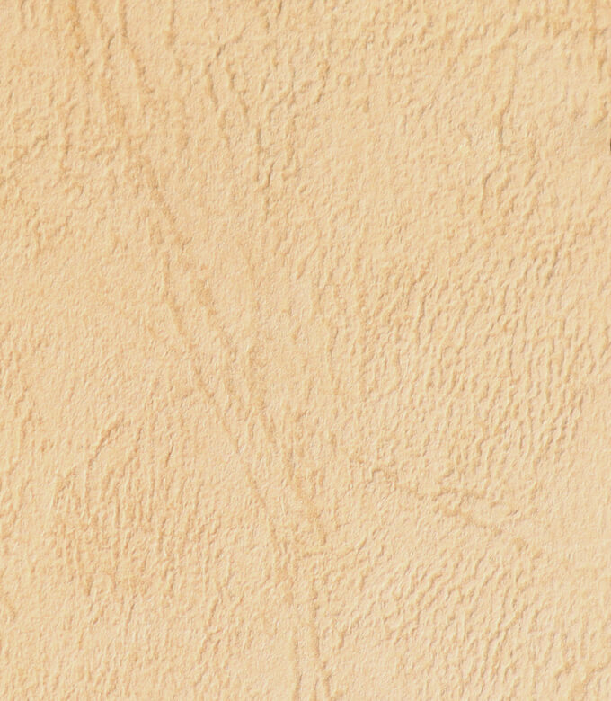 OKゴールデンリバーのライトブラウン