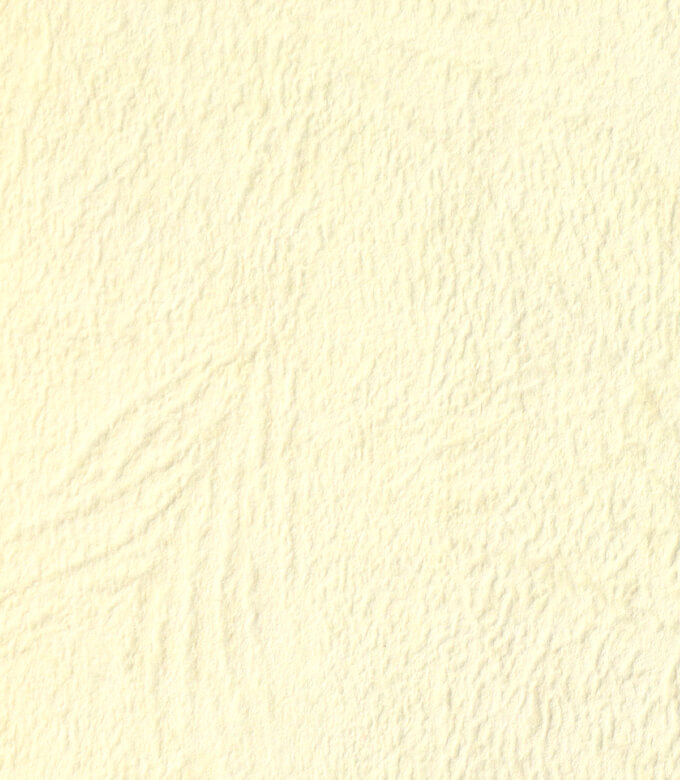 OKゴールデンリバーのイエローホワイト