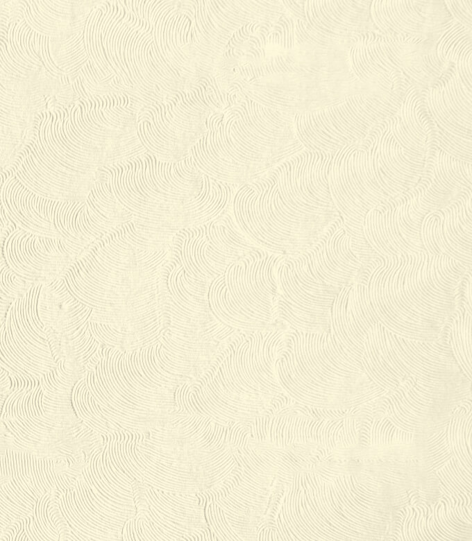 OKミューズエディのイエローホワイト