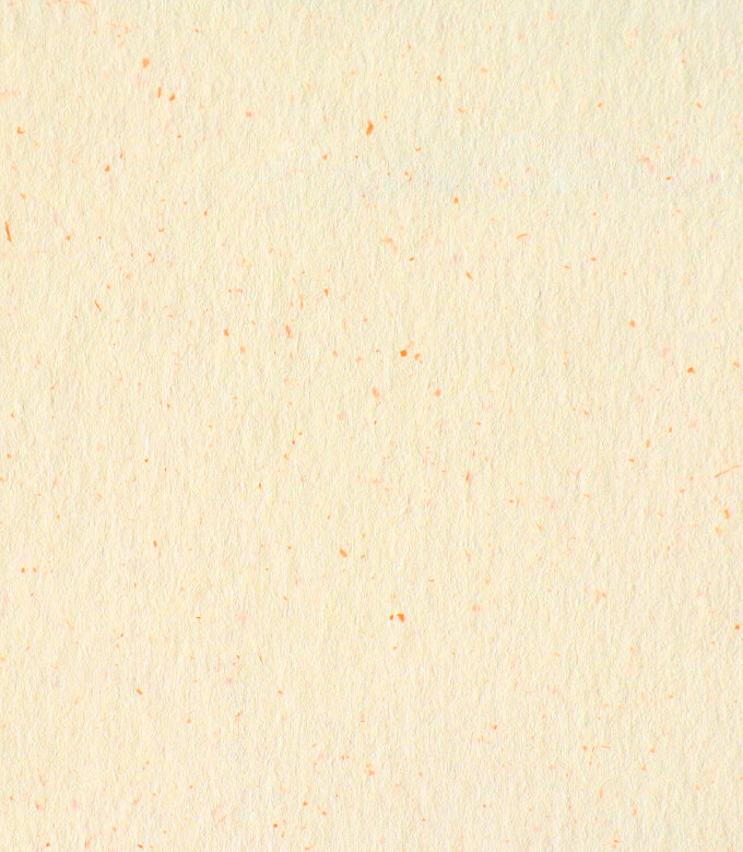 OKサンドカラーのにんじん