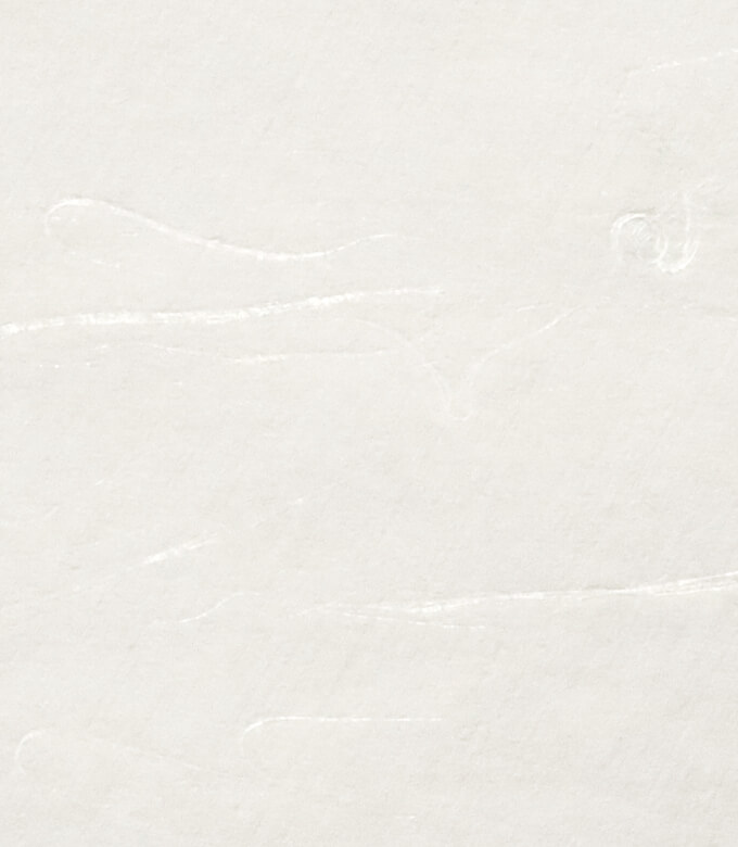 汎紙苑楮の純白