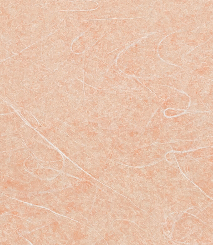 レーヨン雲竜紙の肌色