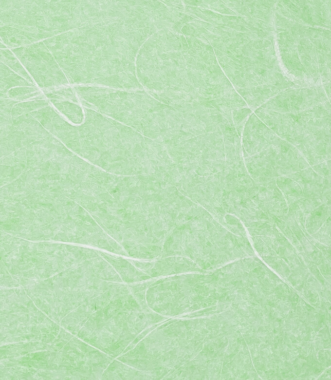 レーヨン雲竜紙の若竹色