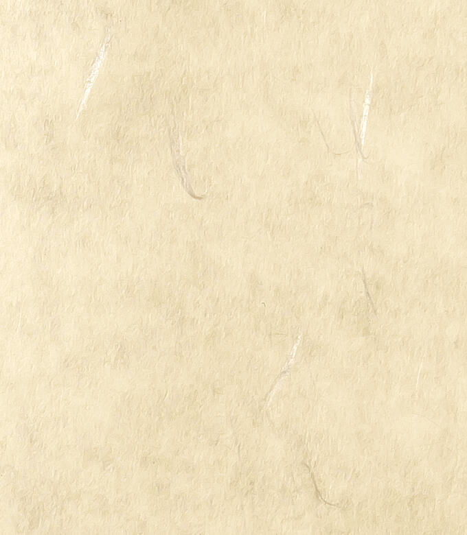 しこくてんれいのうすちゃ