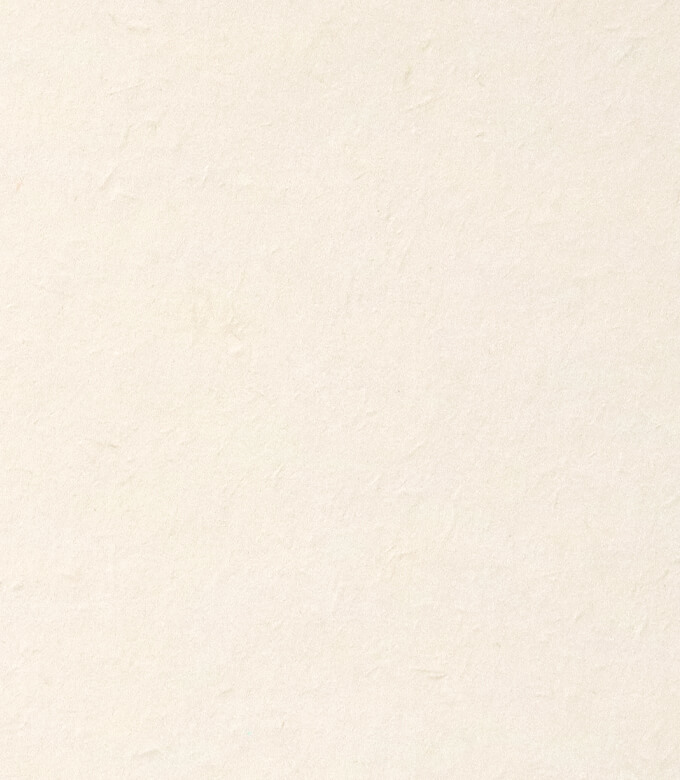 新バフン紙Nのきぬ