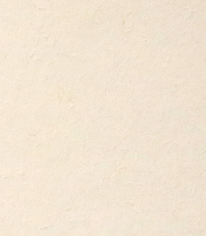 新バフン紙Nのしらかべ