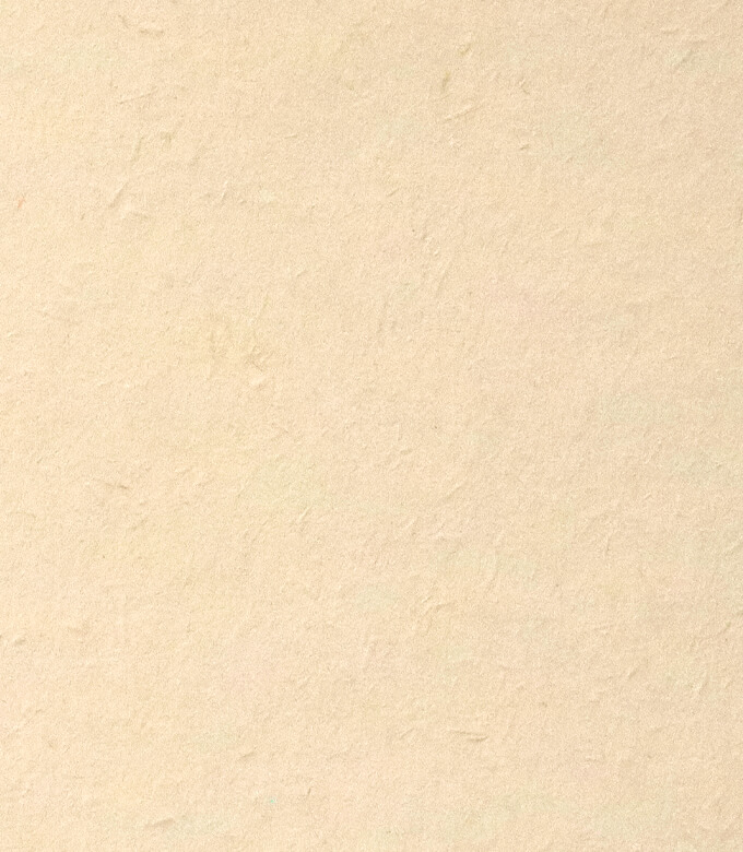 新バフン紙Nのとりのこ