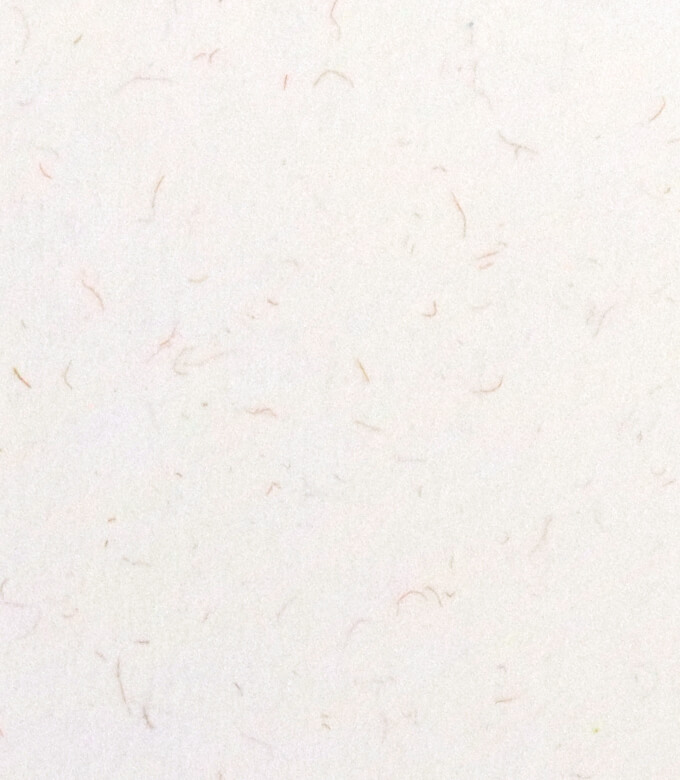 新・草木染のしらかべ