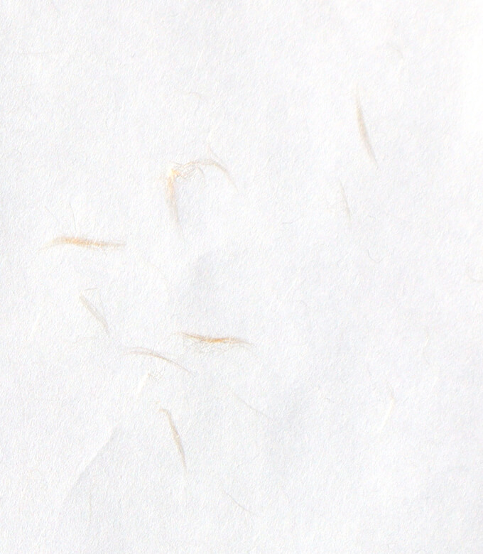 新大礼紙華Nのゴールド