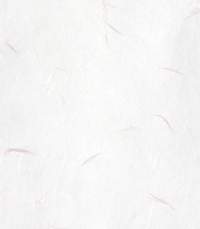 新大礼紙華Nのパールピンク