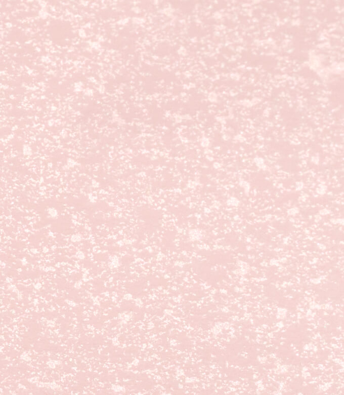 シャイナーの桜