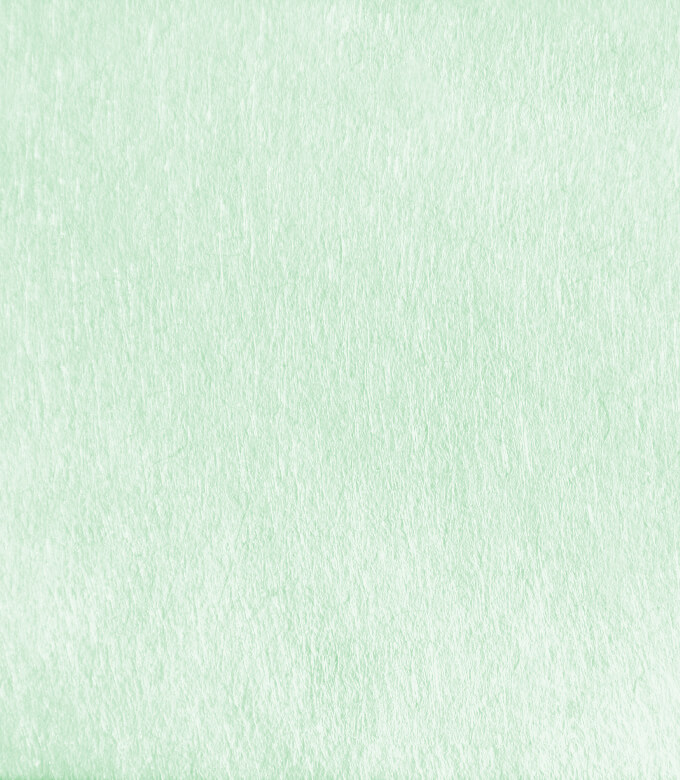 テーラーのグリーン