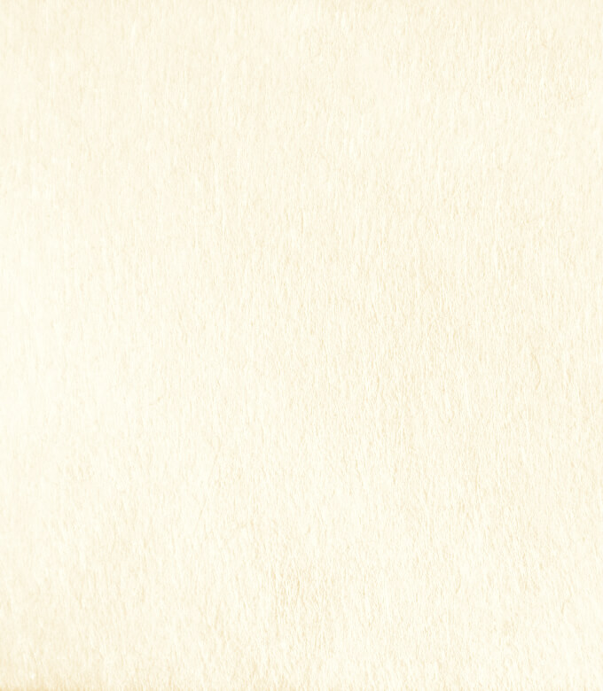 テーラーのきなり