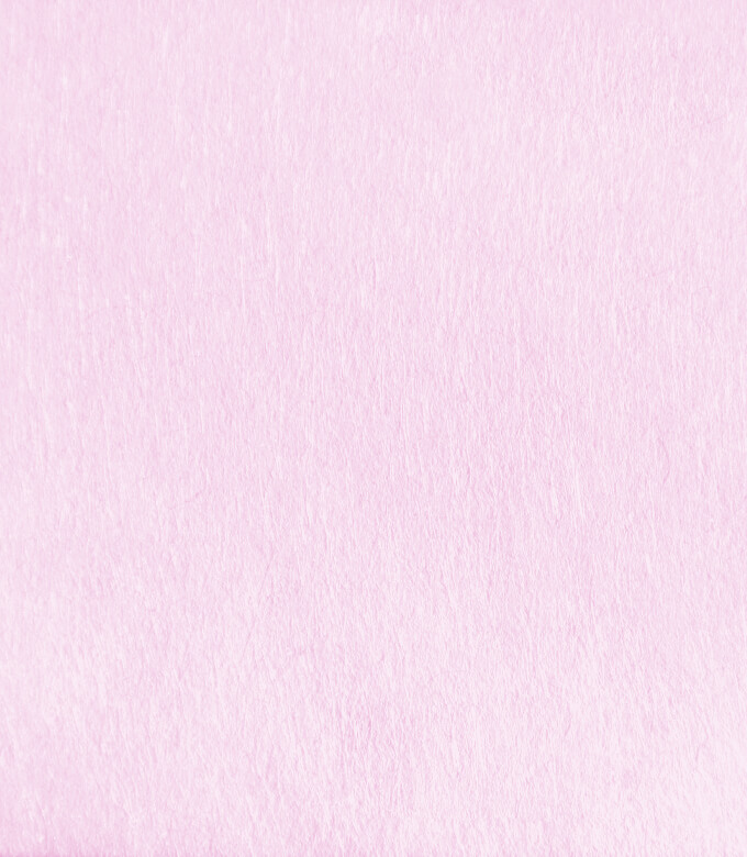 テーラーのピンク