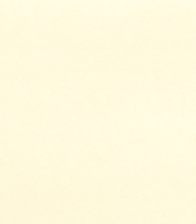 ヴァンヌーボV-FSのナチュラル