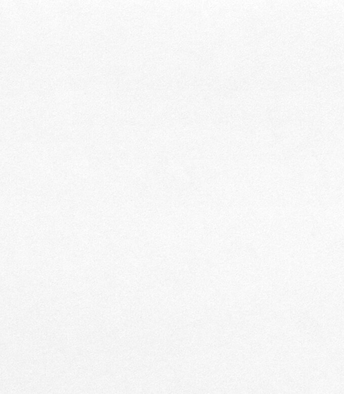 ヴァンヌーボV-FSのスノーホワイト